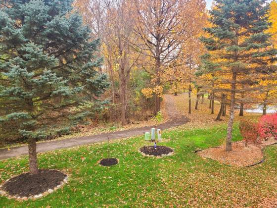 16544 Mulberry Way, Northville, MI 48168 photo 4
