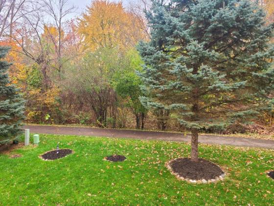16544 Mulberry Way, Northville, MI 48168 photo 5