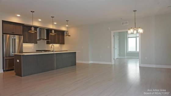 441 S Ashley Street #405, Ann Arbor, MI 48103 photo 4