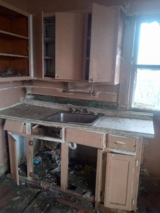 3771 24th, Detroit, MI 48208 photo 4