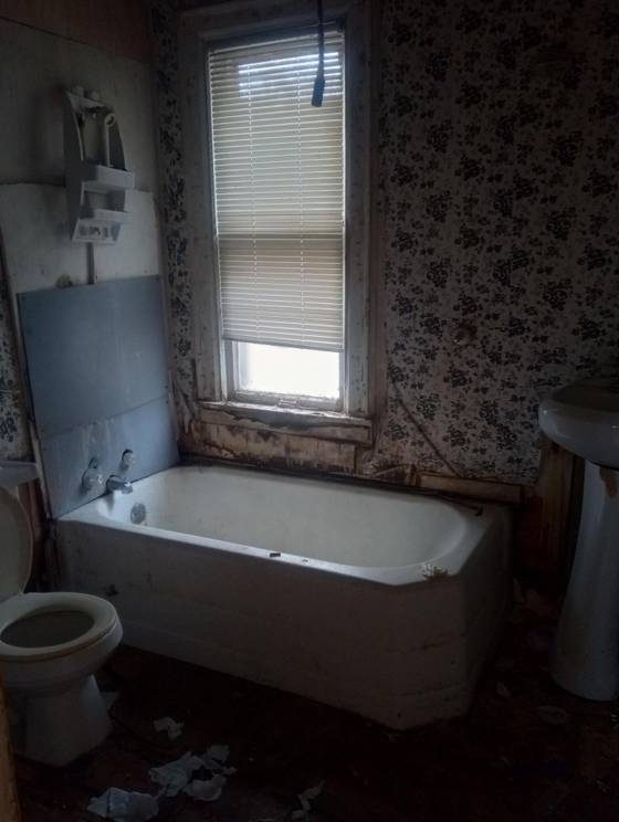 3771 24th, Detroit, MI 48208 photo 5