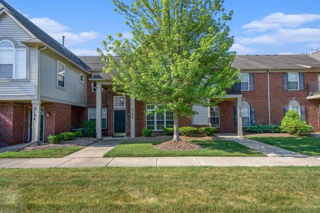 3132 Primrose Lane, Ypsilanti, MI