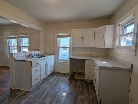 18736 Huron River Drive, New Boston, MI 48164 photo 4
