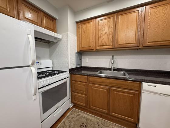 1253 Island Drive #102, Ann Arbor, MI 48105 photo 5