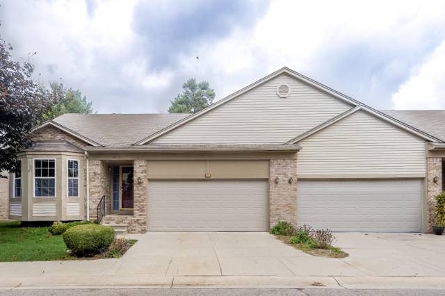 4125 Derray Court, Warren, MI