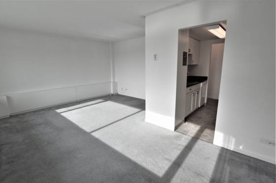 555 E William Street #14C, Ann Arbor, MI 48104 photo 3