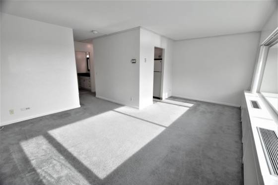 555 E William Street #14C, Ann Arbor, MI 48104 photo 4