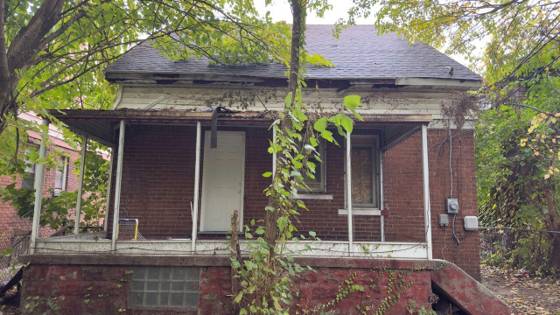 15887 Lauder Street, Detroit, MI 48227 photo 2