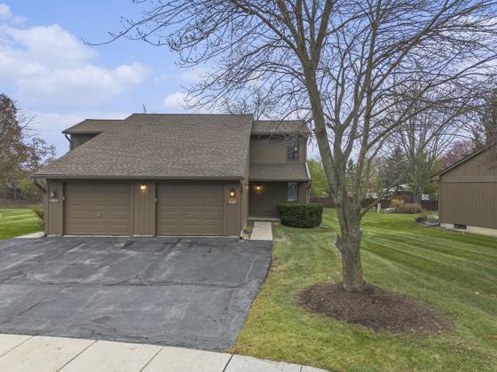 548 Park Place, Saline, MI 48176 photo 3