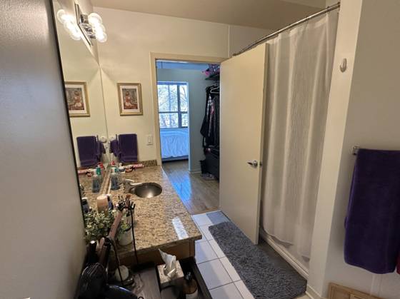 315 2nd Street #305, Ann Arbor, MI 48103 photo 5