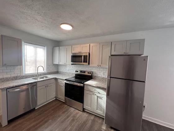 436 S Washington Street, Ypsilanti, MI 48197 photo 3