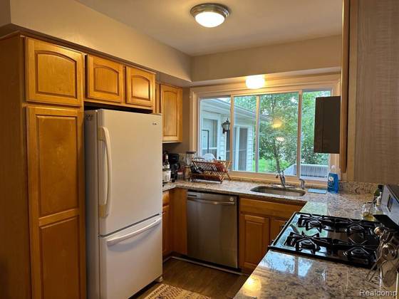 22734 Chestnut Tree, Novi, MI 48375 photo 4