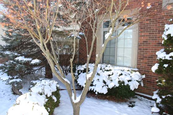 12361 Spencer Lane, Carleton, MI 48117 photo 5