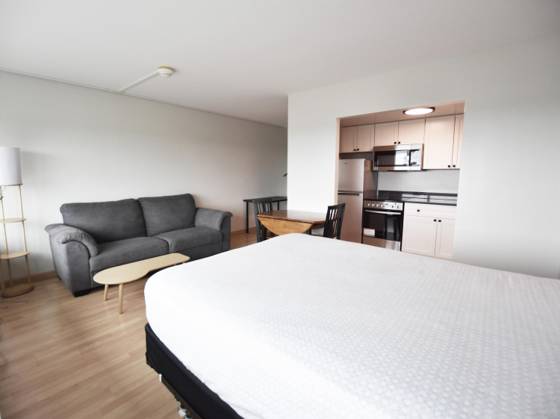 555 E William Street #20L, Ann Arbor, MI 48104 photo 3