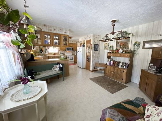 13631 Bemis Road, Manchester, MI 48158 photo 4