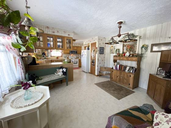 13631 Bemis Road, Manchester, MI 48158 photo 5