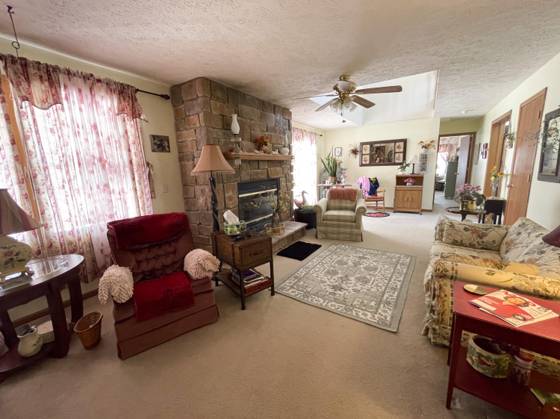 13631 Bemis Road, Manchester, MI 48158 photo 3