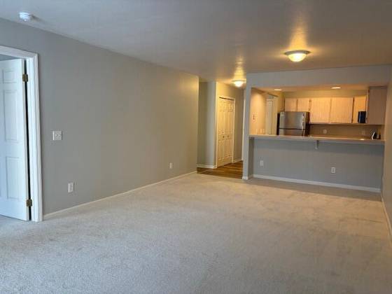 1005 E Duncan Street #1D, Manchester, MI 48158 photo 3