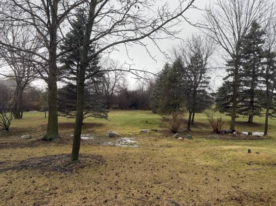 42359 Sable Boulevard, Sterling Heights, MI 48314 photo 5
