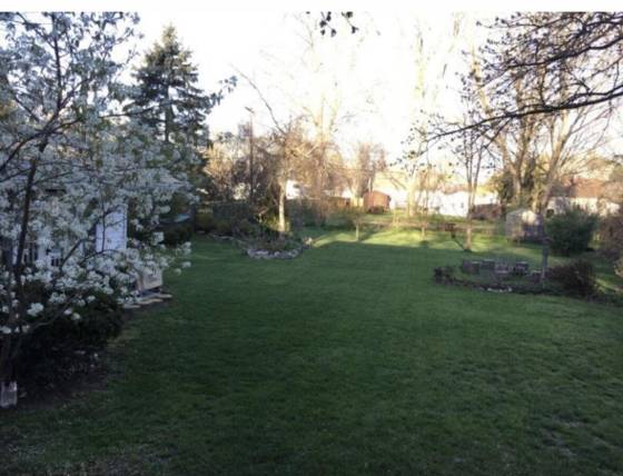 10040 Endicott Street, Belleville, MI 48111 photo 5