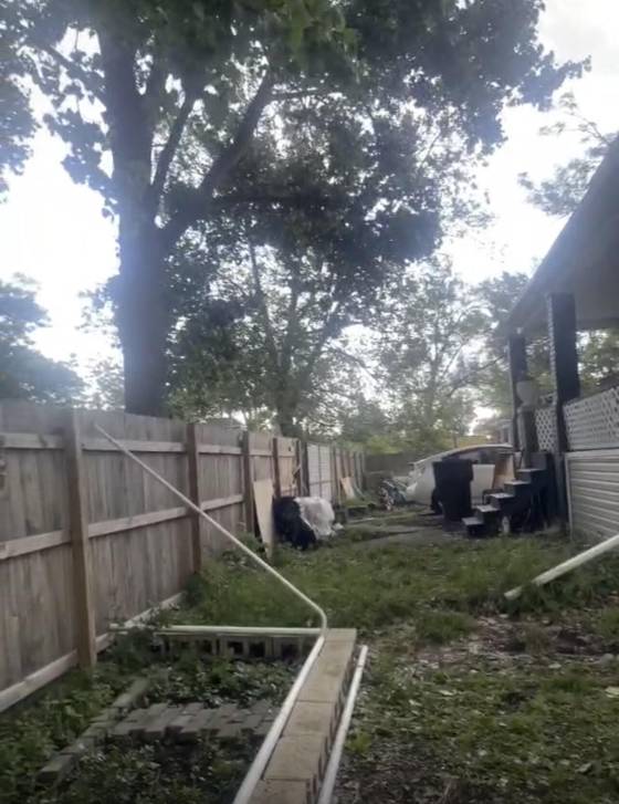 18087 Gable Street, Detroit, MI 48234 photo 5