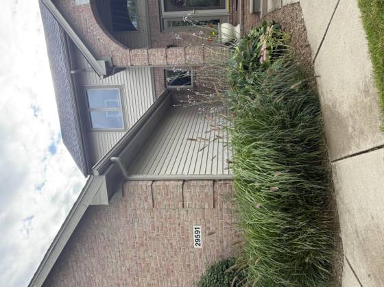 29591 Green acres, Farmington Hills, MI 48334 photo 4
