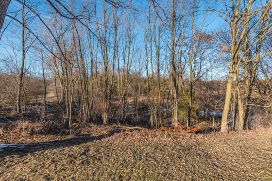 19820 Ivey Road, Chelsea, MI 48118 photo 4