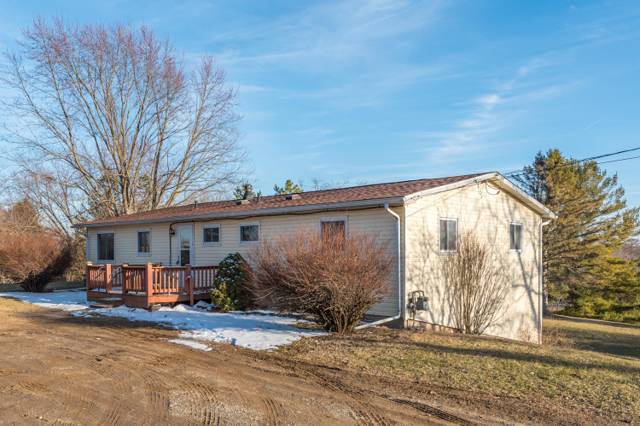 19820 Ivey Road, Chelsea, MI
