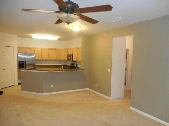 824 W Summerfield Gln Circle, Ann Arbor, MI 48103 photo 4