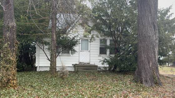 12071 Devoe Street, Southgate, MI 48195 photo 2