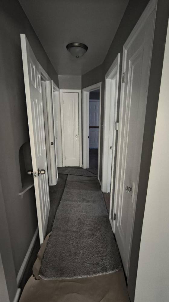 10904 N Mogul Street, Detroit, MI 48224 photo 3