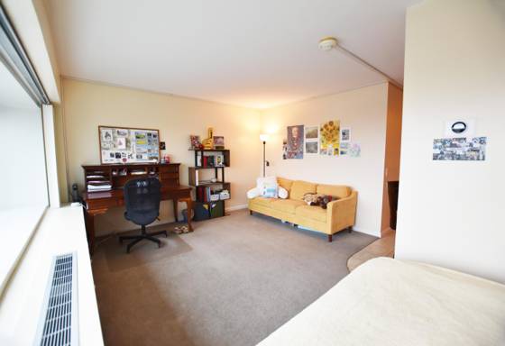 555 E William Street #15K, Ann Arbor, MI 48104 photo 3