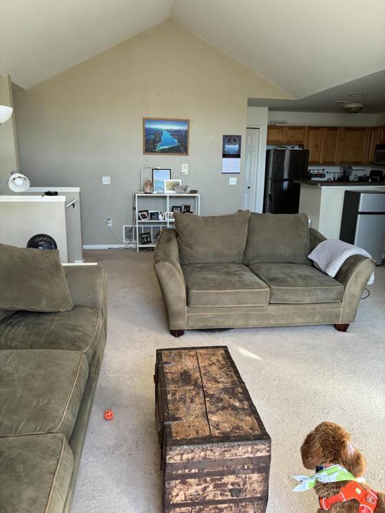 3138 Primrose Lane, Ypsilanti, MI 48197 photo 3