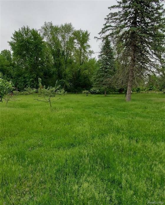 34620 California Street, Romulus, MI 48174 photo 3