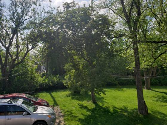 755 N Maple Road, Ann Arbor, MI 48103 photo 4