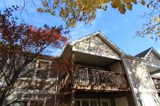 1411 Heatherwood Lane, Ann Arbor, MI 48108 photo 3