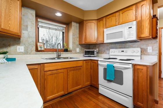 3721 Bristol Drive, Dexter, MI 48130 photo 4