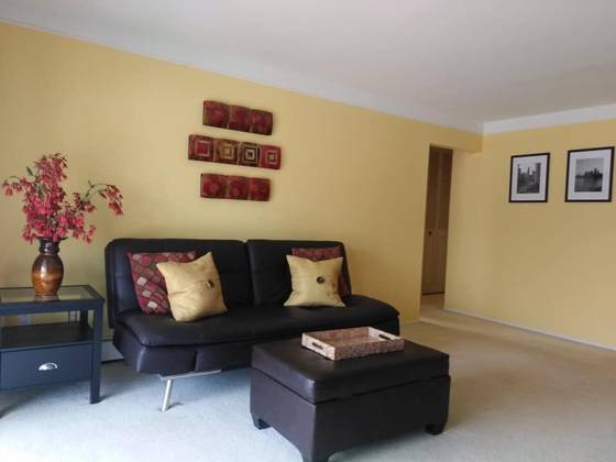 22039 E 11 Mile Road, Saint Clair Shores, MI 48081 photo 3