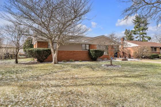 35901 Dover Street, Livonia, MI 48150 photo 3