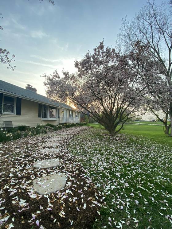 4750 W Ellsworth Road, Ann Arbor, MI 48103 photo 5