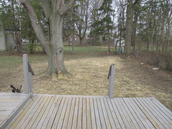 301 Buckingham Road, Canton, MI 48188 photo 3