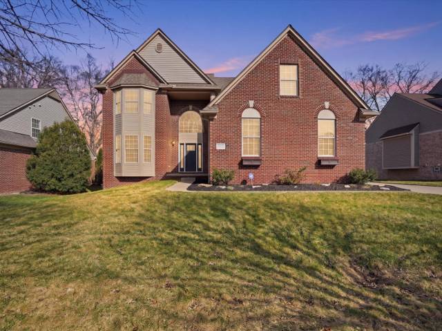 13137 Ventura Drive, Belleville, MI