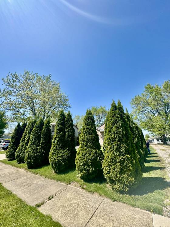 15338 Flanders Street, Southgate, MI 48195 photo 3