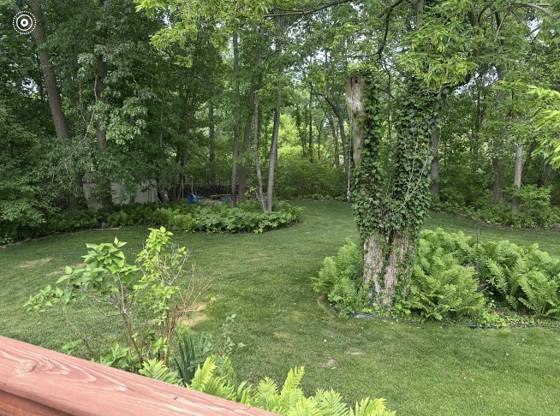 12091 Pembrooke Circle, South Lyon, MI 48178 photo 3