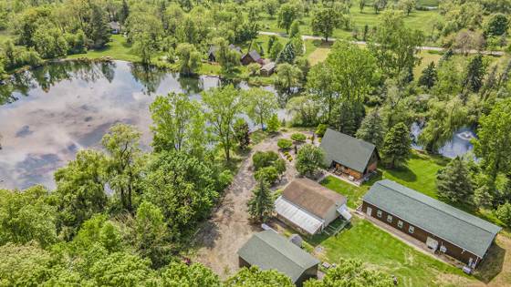 12175 Watkins Road, Brooklyn, MI 49230 photo 5