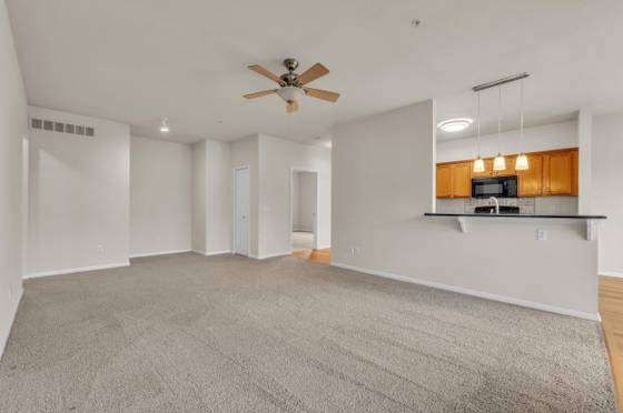 331 Scio Village Court #173, Ann Arbor, MI 48103 photo 4