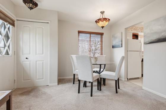 119 Sheffield, Saline, MI 48176 photo 4