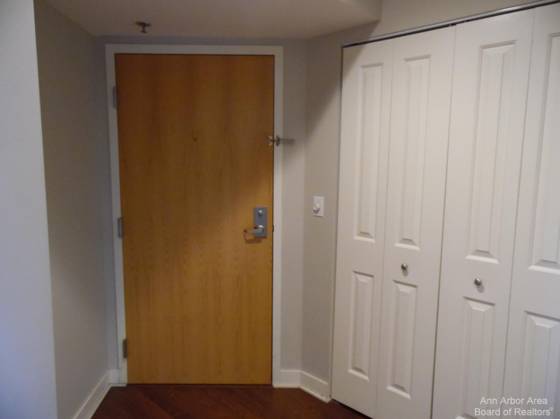111 N Ashley Street #901, Ann Arbor, MI 48104 photo 3