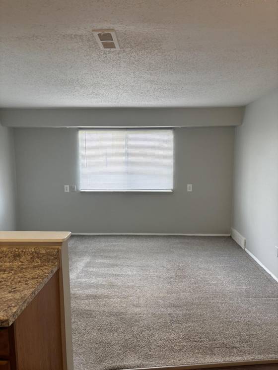 157 Canfield Street, Milan, MI 48160 photo 2