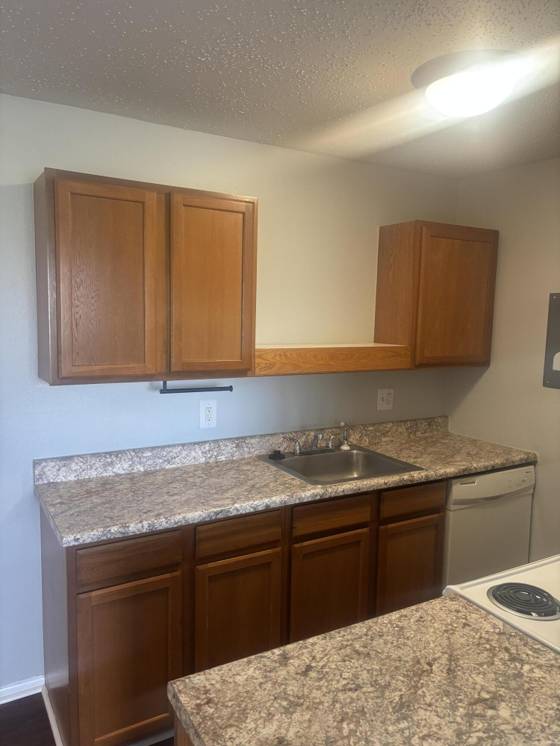157 Canfield Street, Milan, MI 48160 photo 4